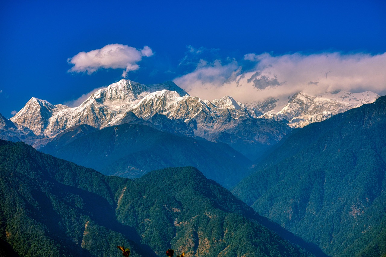 Is Genuine Sikkim Casino License Legal in India? Complete 2026 Guide